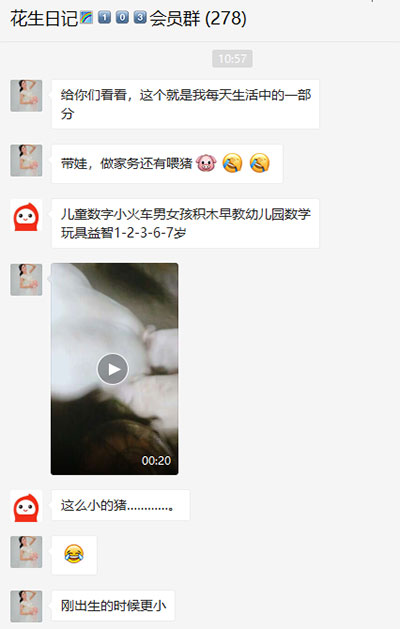 如何做好花生日记？