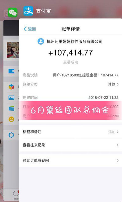 做花生日记的收益