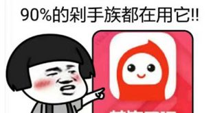 花生日记揭秘花生日记省赚惊人真相