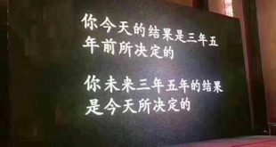 花生日记如何吸引粉丝？