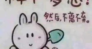做花生日记的四个时间段