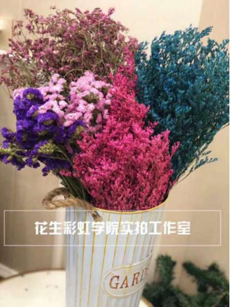 花生日记彩虹学院简介