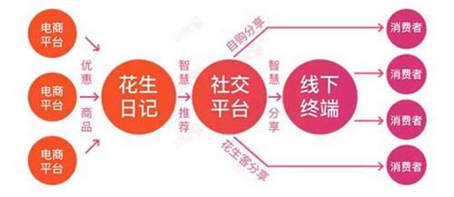 什么是花生日记?