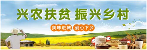 花生日记1年多时间为什么能发展5500万会员？